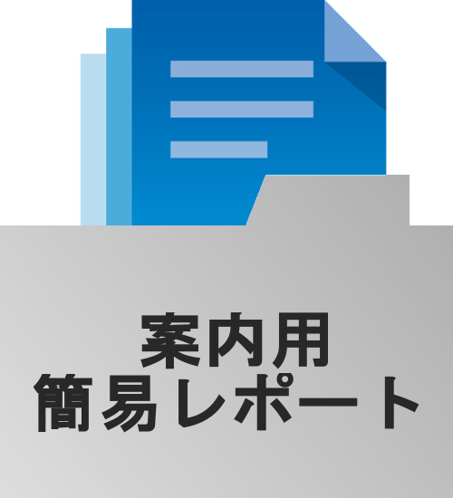 調査対象エリアの周辺情報、統計情報およびハザード情報をまとめ、資料化します。物件概要書などの補足資料としてお使いください。